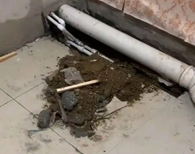 罗山卫生间漏水检测哪家好