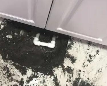 罗山查漏水哪家好