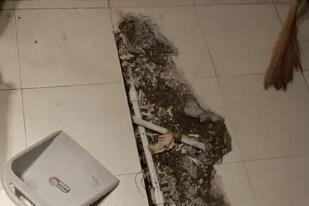 罗山卫生间漏水检测电话